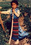 A young khampa farmer girl